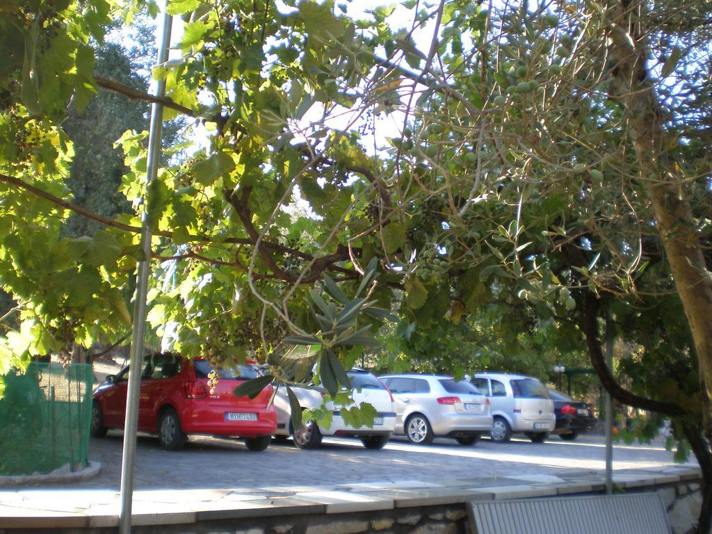 Vasiliki Studios Petra  Exterior foto